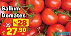 SALKIM DOMATES KG fiyat ve kampanya bilgisi